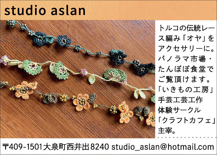 studio aslan